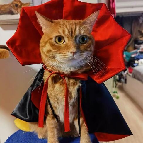 Cat/Dog Vampire Costume ، Funder Funcy Pet Pet Cape Cloak Cloak for Hitten & Small Medium Earge Dogs ، ارتداء ملابس لـ Halloween Cosplay (صغير) in Kuwait