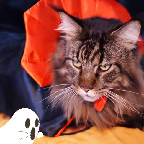 Cat/Dog Vampire Costume ، Funder Funcy Pet Pet Cape Cloak Cloak for Hitten & Small Medium Earge Dogs ، ارتداء ملابس لـ Halloween Cosplay (صغير) in Kuwait