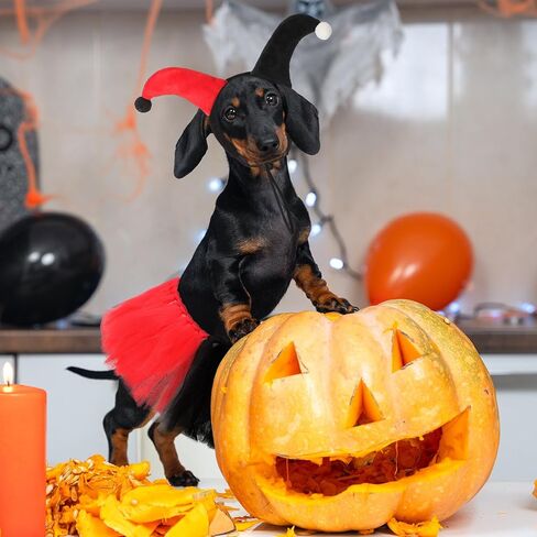 2 PCS Halloween Dog Clown Assume مجموعة صغيرة من أزياء الأزياء للحيوانات الأليفة الكلب الصغير الأسود تنورة حمراء الرأس لقطط الجرو هالوين تأثيري ملابس الحفلات in Kuwait