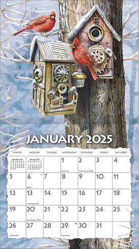 Lang Companies, Birdhouses 2026 Wall Calendar by Tim Coffey, 13.4'' X 12'', 12-Month Calendar with Stapled Binding in Saudi Arabia