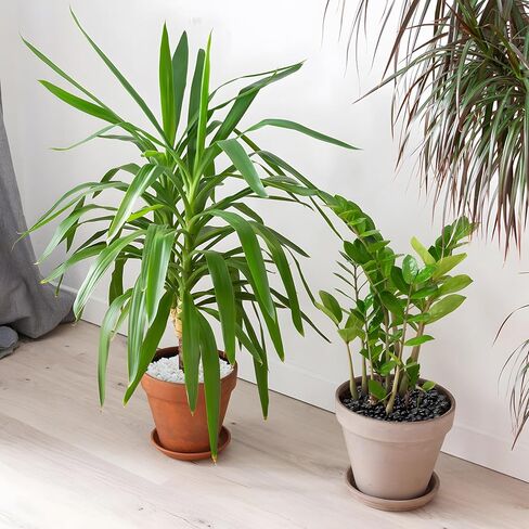 Black Polished Pebbles, 3/8" Aquarium Rocks for Indoor Plants, Decorative River Rocks Gravel for Vase, Garden, Landscaping (5-lb Bag) in Kuwait