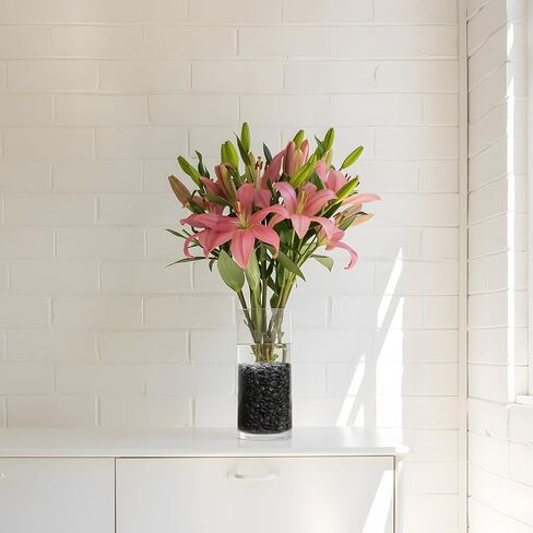 Black Polished Pebbles, 3/8" Aquarium Rocks for Indoor Plants, Decorative River Rocks Gravel for Vase, Garden, Landscaping (5-lb Bag) in Kuwait