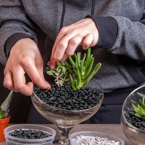 Black Polished Pebbles, 3/8" Aquarium Rocks for Indoor Plants, Decorative River Rocks Gravel for Vase, Garden, Landscaping (5-lb Bag) in Kuwait