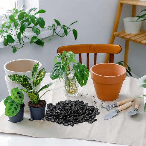 Black Polished Pebbles, 3/8" Aquarium Rocks for Indoor Plants, Decorative River Rocks Gravel for Vase, Garden, Landscaping (5-lb Bag) in Kuwait