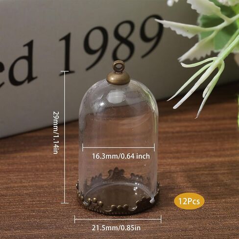 chgcraft 12pcs Clear Glass Globe Charms DIY kits with brass trants cap bead cap bauls bottle bracket bracket bracket bronze dome for bracelet necklace making diy in Saudi Arabia