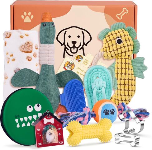 مرحبًا بكم مجموعة جرو جديدة ، 14 PCS Dog Toy Gift Basket ، حزمة ألعاب الكلب التفاعلية ، صندوق هدايا عيد ميلاد جرو لعيد الميلاد ، مجموعة هدايا أساسية للحيوانات الأليفة مع وصفات صحية للكلاب in Kuwait