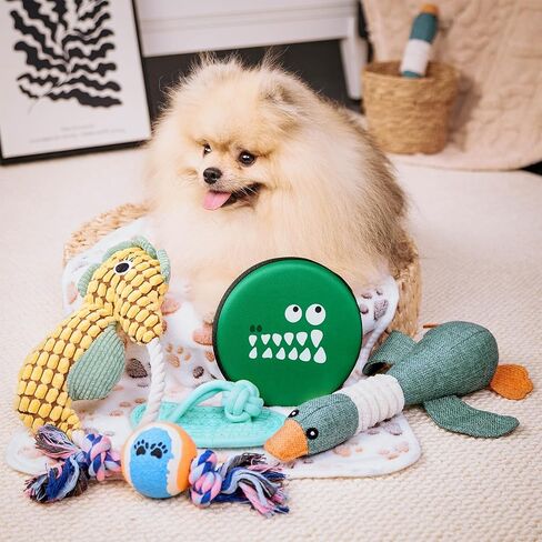 مرحبًا بكم مجموعة جرو جديدة ، 14 PCS Dog Toy Gift Basket ، حزمة ألعاب الكلب التفاعلية ، صندوق هدايا عيد ميلاد جرو لعيد الميلاد ، مجموعة هدايا أساسية للحيوانات الأليفة مع وصفات صحية للكلاب in Kuwait