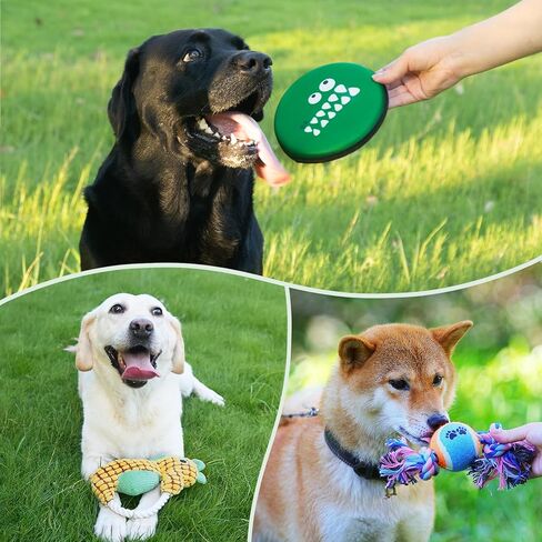 مرحبًا بكم مجموعة جرو جديدة ، 14 PCS Dog Toy Gift Basket ، حزمة ألعاب الكلب التفاعلية ، صندوق هدايا عيد ميلاد جرو لعيد الميلاد ، مجموعة هدايا أساسية للحيوانات الأليفة مع وصفات صحية للكلاب in Kuwait