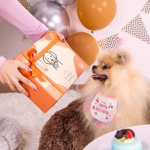 مرحبًا بكم مجموعة جرو جديدة ، 14 PCS Dog Toy Gift Basket ، حزمة ألعاب الكلب التفاعلية ، صندوق هدايا عيد ميلاد جرو لعيد الميلاد ، مجموعة هدايا أساسية للحيوانات الأليفة مع وصفات صحية للكلاب in Kuwait