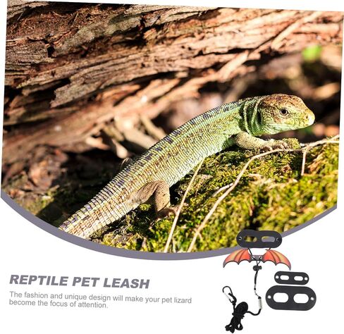 Garneck 1set Lightweight Portable Bearded Dragon Leash Breathable Comfortable Small Animal Harness Iguana Accessories Live Lizard Reptile Walking Rope in Saudi Arabia