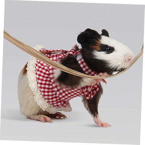BESPORTBLE SMALL PET HARNESS Dress Leash مجموعة لخنازير أرنب غينيا والهامستر الناعم الناعم القابل للتعديل L الحجم الساحر نمط منقوش الساحر للمشي في الهواء الطلق in Kuwait