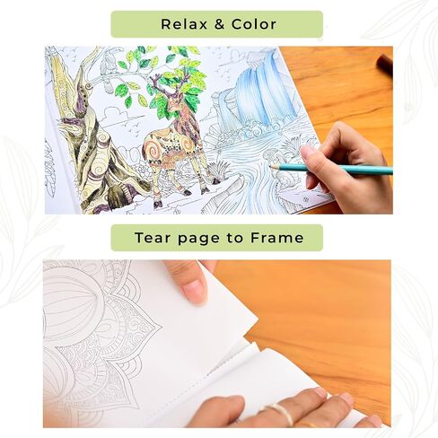 LILADORA Creative Calm - Coloring Books for Adults Relaxation, with 38 Wonder-Full Pages. for Relaxation and Stress Relief Gift. Adult Coloring Books for Women. Mindfulness Coloring Book. in Saudi Arabia