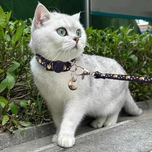 2 PCS Breakaway Cat Collars with Bells Star Moon Pendant Kitten Collar Adjustable Buckle Glow in The Dark with Leash for Pet Girls and Boys 8-13 Inch in Saudi Arabia