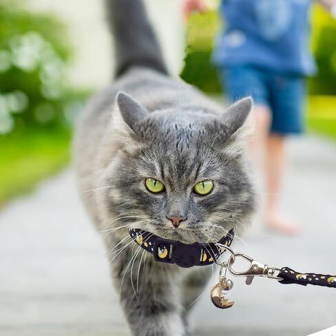 2 PCS Breakaway Cat Collars with Bells Star Moon Pendant Kitten Collar Adjustable Buckle Glow in The Dark with Leash for Pet Girls and Boys 8-13 Inch in Saudi Arabia