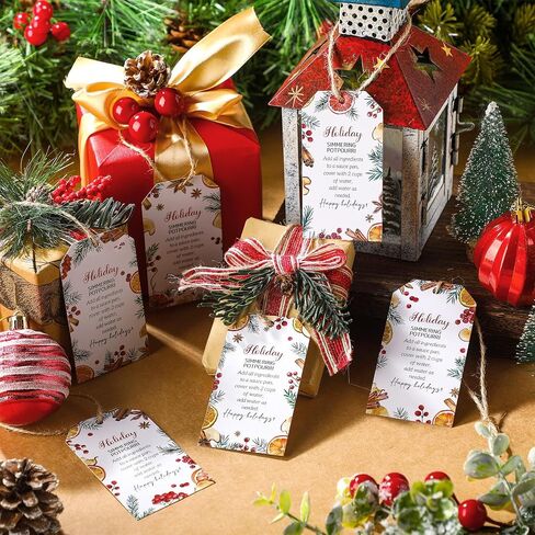Faccito 60 Pcs Holiday Simmer Pot Potpourri Gift Tags Bulk Christmas Stovetop Potpourri Instruction Tag Xmas Gift Label Teacher Coworker Thank You Gifts for Winter Holiday Present Party Favors Guest in Saudi Arabia