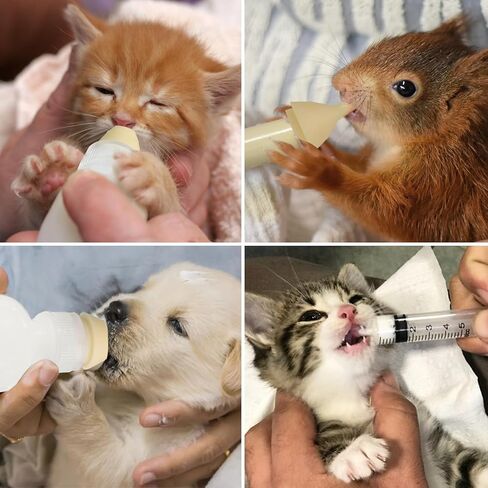 Pet Nursing Bottle Kits, Reusable Feeding Bottle and Syringes, with Replacement Silicone Nipple and Cleaning Brushe, for Small Cat Dog Kitten Puppy Rabbits Squirrel Animals in Saudi Arabia