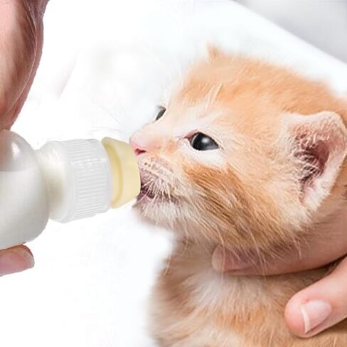 Pet Nursing Bottle Kits, Reusable Feeding Bottle and Syringes, with Replacement Silicone Nipple and Cleaning Brushe, for Small Cat Dog Kitten Puppy Rabbits Squirrel Animals in Saudi Arabia