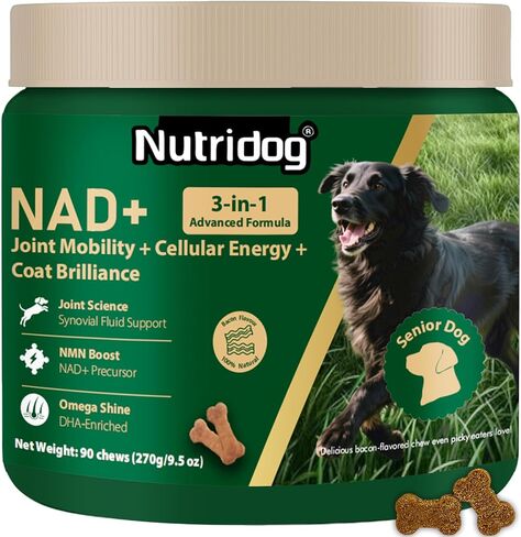 ملحق NMN للكلاب NAD+ Booster-مضغات مضادة للتقدم وطول العمر للمضغ الناعم لكبار الكلاب مع ريسفيراترول ، CoQ10 ، والجلوكوزامين وأوميغا 3-3-3 في -1. in Kuwait
