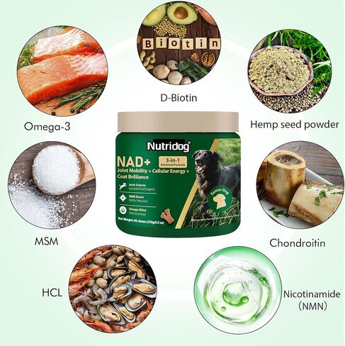 ملحق NMN للكلاب NAD+ Booster-مضغات مضادة للتقدم وطول العمر للمضغ الناعم لكبار الكلاب مع ريسفيراترول ، CoQ10 ، والجلوكوزامين وأوميغا 3-3-3 في -1. in Kuwait