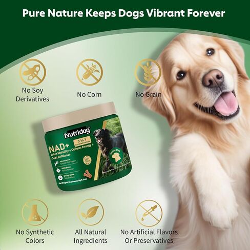 ملحق NMN للكلاب NAD+ Booster-مضغات مضادة للتقدم وطول العمر للمضغ الناعم لكبار الكلاب مع ريسفيراترول ، CoQ10 ، والجلوكوزامين وأوميغا 3-3-3 في -1. in Kuwait