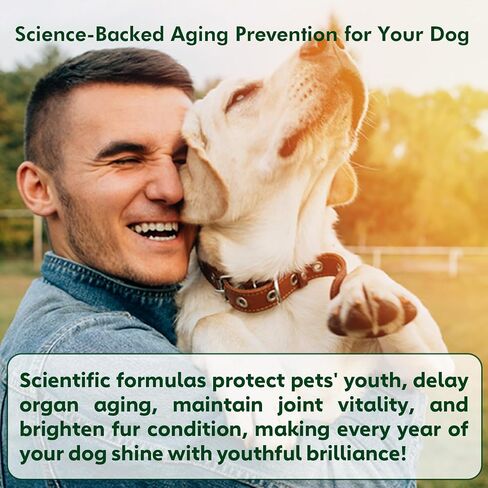 ملحق NMN للكلاب NAD+ Booster-مضغات مضادة للتقدم وطول العمر للمضغ الناعم لكبار الكلاب مع ريسفيراترول ، CoQ10 ، والجلوكوزامين وأوميغا 3-3-3 في -1. in Kuwait