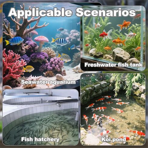 كرات Aquarium Bio - 100pcs وسائط مرشح الحوض الأسود بالجملة مع وسائط الترشيح البيولوجية الإسفنجية لـ Koi Pond ، خزان الأسماك ، علبة ، مضخة الهواء in Saudi Arabia