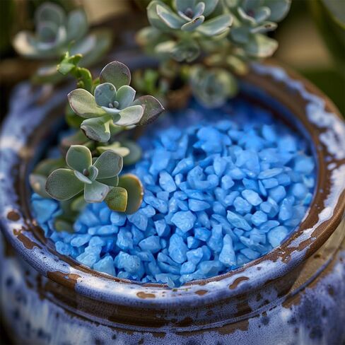 Blue Succulent and Cacus Gravels,Fairy Garden Mini Rocks,0.88 LB,3-5mm in Saudi Arabia
