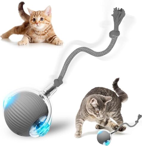 لعبة Cat Ball ، 2025 جديدًا لبطال ألعاب الكلب التفاعلية للقطط التفاعلية 360 درجة ، لعبة أليف أوتوماتيكية ذكية ، لعبة سريعة الحركة للكلاب والقط (أحمر) in Kuwait