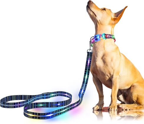 Light Up LED Dog Leash - قابلة لإعادة الشحن ، 5 أقدام ، 3 أوضاع إضاءة للكلاب الكبيرة المتوسطة المشي في الليل (L59in المقود) in Kuwait