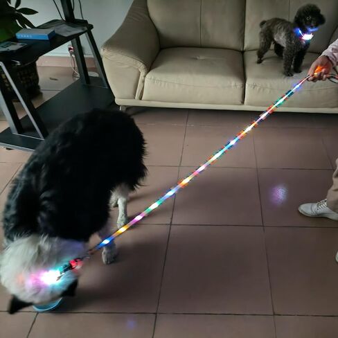 Light Up LED Dog Leash - قابلة لإعادة الشحن ، 5 أقدام ، 3 أوضاع إضاءة للكلاب الكبيرة المتوسطة المشي في الليل (L59in المقود) in Kuwait