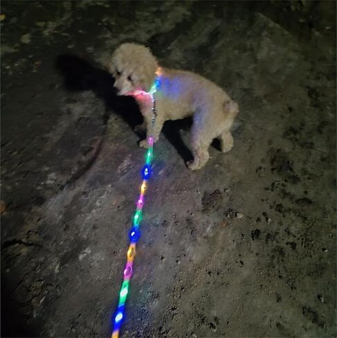 Light Up LED Dog Leash - قابلة لإعادة الشحن ، 5 أقدام ، 3 أوضاع إضاءة للكلاب الكبيرة المتوسطة المشي في الليل (L59in المقود) in Kuwait