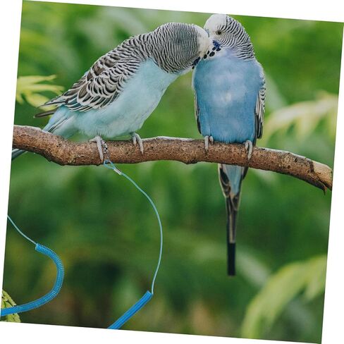 Ganazono 2pcs parrot Bird Flying Rope Leg Ring Training Leash for Pet Birds Safety in Kuwait
