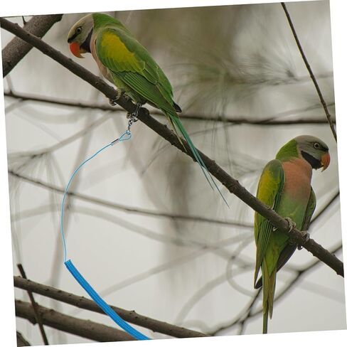 Ganazono 2pcs parrot Bird Flying Rope Leg Ring Training Leash for Pet Birds Safety in Kuwait