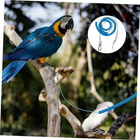 Ganazono 2pcs parrot Bird Flying Rope Leg Ring Training Leash for Pet Birds Safety in Kuwait
