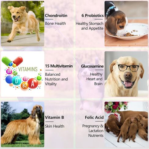 Dog Joint Aid & Relief Supplement - w/Chondroitin and Glucosamine HCl - Reliving Joint Pain & Reducing Inflammation for Senior Dogs, Active Adults, or Puppies in Kuwait