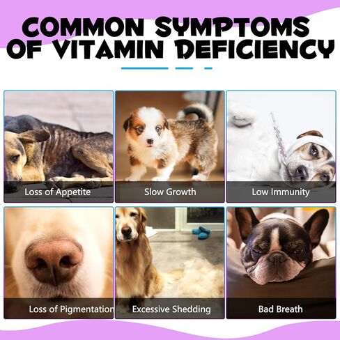 Dog Joint Aid & Relief Supplement - w/Chondroitin and Glucosamine HCl - Reliving Joint Pain & Reducing Inflammation for Senior Dogs, Active Adults, or Puppies in Kuwait
