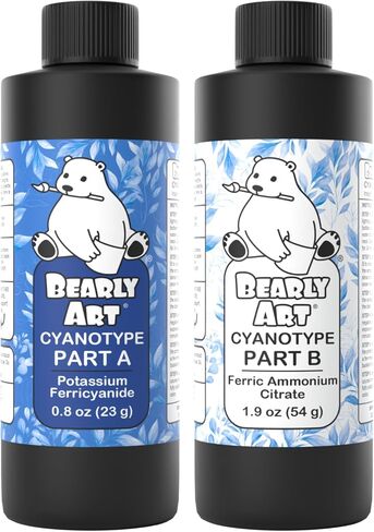 Bearly Art Cyanotype Kit - Sun - Solar Print Set for Photographic Printing on Paper and Fabric - 2 Part Sensitizer - Archival - Creates 64 8" x10 Prints on Cyanotype Paper and 50 on Fabric in Kuwait