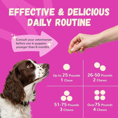 Furrolika Multivitamin Chews للكلاب - فيتامينات الكلاب والمكملات الغذائية مع الجلوكوزامين ، الشوندرويتين ، الإنزيمات الهضمية ، البروبيوتيك - الورك والمفاصل ، الجهاز المناعي ، دعم الجلد والمعطف - 60 مضغًا ناعمًا in Kuwait