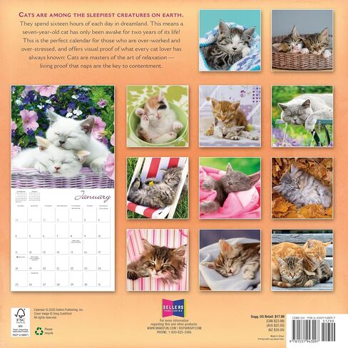 Dogma 2026 Wall Calendar: A Dog's Guide to Life by Ron Schmidt, 12" x 12", Monthly Calendar 2026 with Large Grids for Office or Home, Includes 2025 Bonus Months Sept to Dec in Saudi Arabia