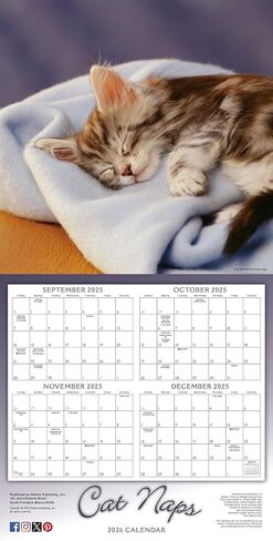 Dogma 2026 Wall Calendar: A Dog's Guide to Life by Ron Schmidt, 12" x 12", Monthly Calendar 2026 with Large Grids for Office or Home, Includes 2025 Bonus Months Sept to Dec in Saudi Arabia