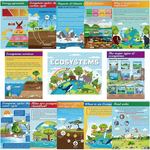 Pajean 13 PCS Science Posters Decoritations for Middle School Ecosystems Bulletin Banner Banner Ecosystems Teaching Posters Science BioDiversity Charsiproom Bulletin Bulletin Decor in Saudi Arabia