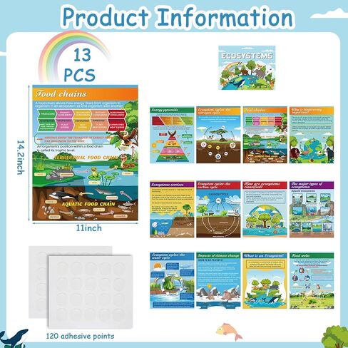 Pajean 13 PCS Science Posters Decoritations for Middle School Ecosystems Bulletin Banner Banner Ecosystems Teaching Posters Science BioDiversity Charsiproom Bulletin Bulletin Decor in Saudi Arabia