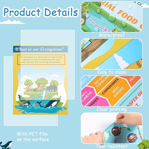 Pajean 13 PCS Science Posters Decoritations for Middle School Ecosystems Bulletin Banner Banner Ecosystems Teaching Posters Science BioDiversity Charsiproom Bulletin Bulletin Decor in Saudi Arabia