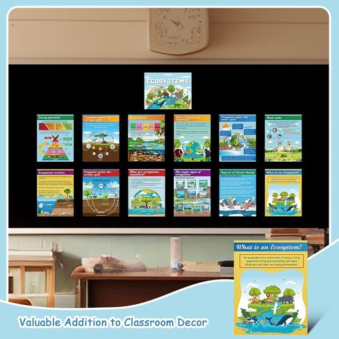Pajean 13 PCS Science Posters Decoritations for Middle School Ecosystems Bulletin Banner Banner Ecosystems Teaching Posters Science BioDiversity Charsiproom Bulletin Bulletin Decor in Saudi Arabia