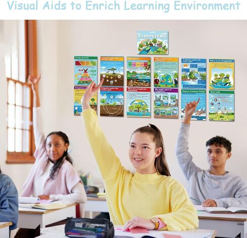 Pajean 13 PCS Science Posters Decoritations for Middle School Ecosystems Bulletin Banner Banner Ecosystems Teaching Posters Science BioDiversity Charsiproom Bulletin Bulletin Decor in Saudi Arabia