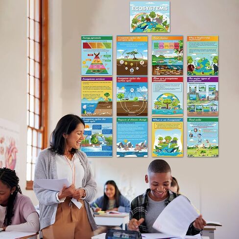 Pajean 13 PCS Science Posters Decoritations for Middle School Ecosystems Bulletin Banner Banner Ecosystems Teaching Posters Science BioDiversity Charsiproom Bulletin Bulletin Decor in Saudi Arabia