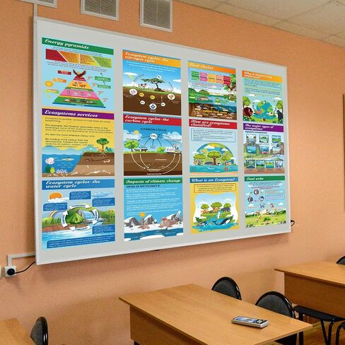 Pajean 13 PCS Science Posters Decoritations for Middle School Ecosystems Bulletin Banner Banner Ecosystems Teaching Posters Science BioDiversity Charsiproom Bulletin Bulletin Decor in Saudi Arabia