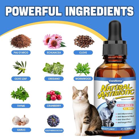 Antibitics for Cats, Cat Antibitics for Infection, Natural Antibitic Pet Supplements, Supports Allergy Itch,Cough Relief,Immune Support -Proper for All Ages & Breeds-Bacon Flavor in Saudi Arabia