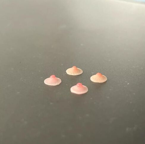 1/12 Scale Female Silicone Chest Patch Body Nipple Prop 2 Pairs Set for 6-inches Action Figure Body Doll, 1/12 Scale Female Action Figure Accessory in Saudi Arabia