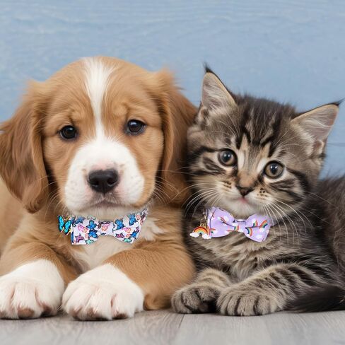 2 Pack Breakaway Cat Collar with Bow Tie Bell, Cute Rainbow Butterfly Pattern Bowtie Collars Soft Kitten Collar Adjustable Safety Summer Collars for Male Female Cats in Saudi Arabia